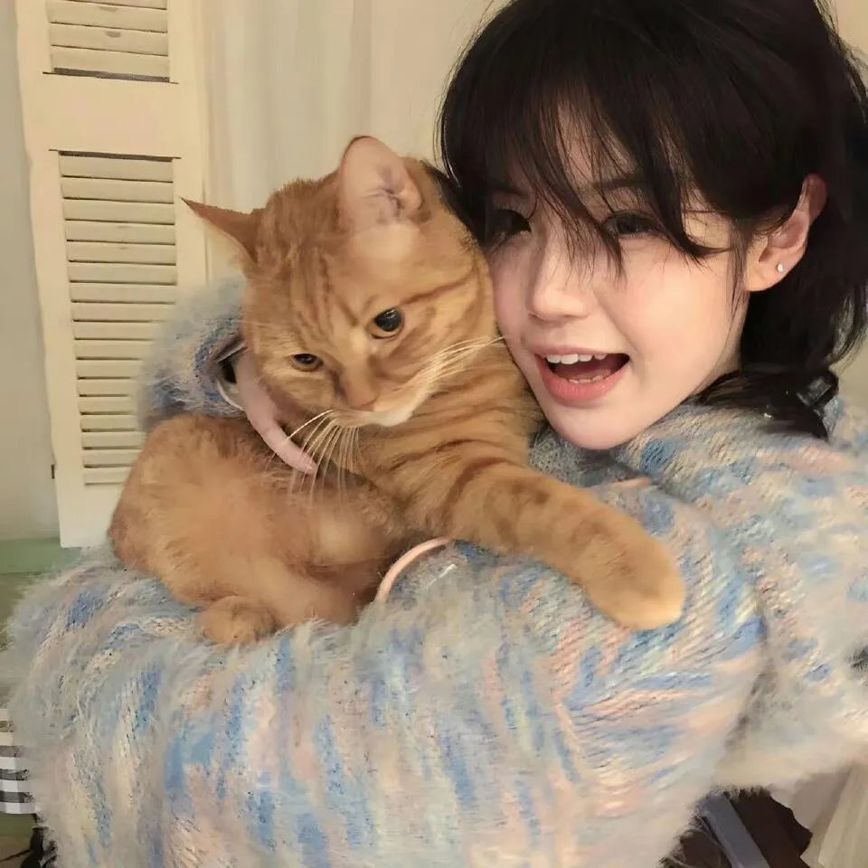 凝视蕾妮玛莉佛森