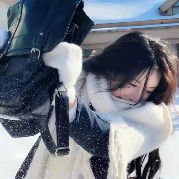不能犯